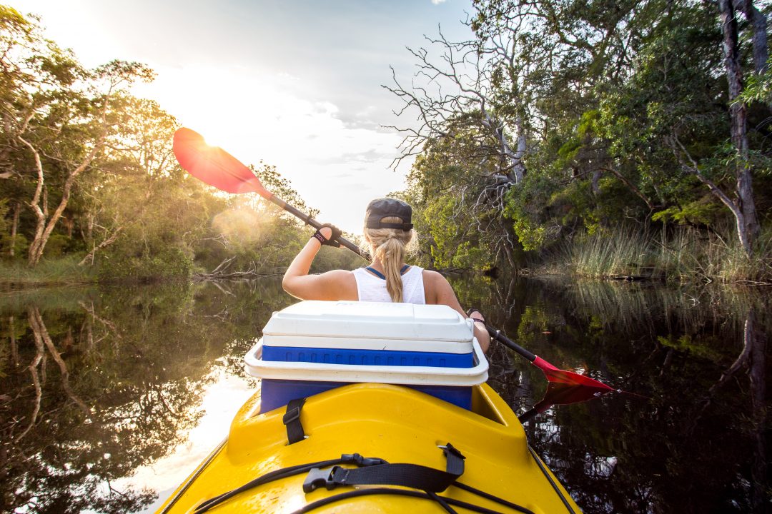 Award Winning Noosa Everglades Kayak Tours Kanu Kapers